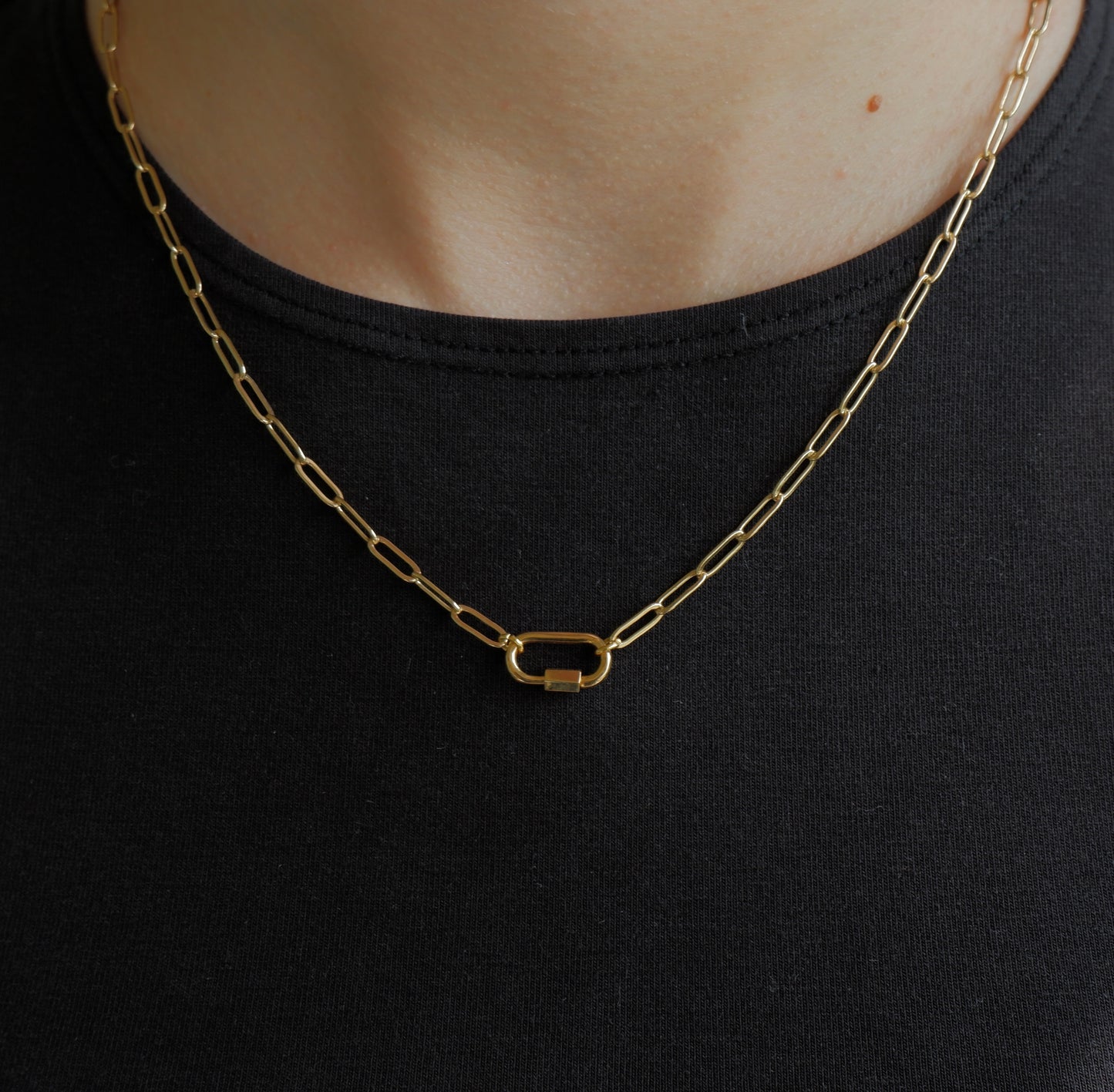 Paperclip Chain Carabiner Necklace